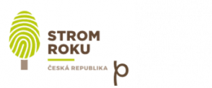 Anketa Strom roku